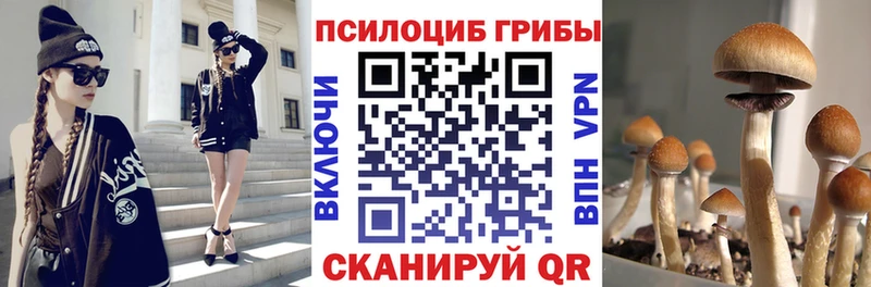 Псилоцибиновые грибы GOLDEN TEACHER  Подольск 