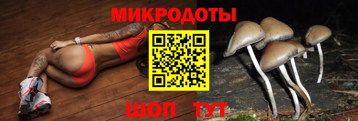 Псилоцибиновые грибы Magic Shrooms Подольск
